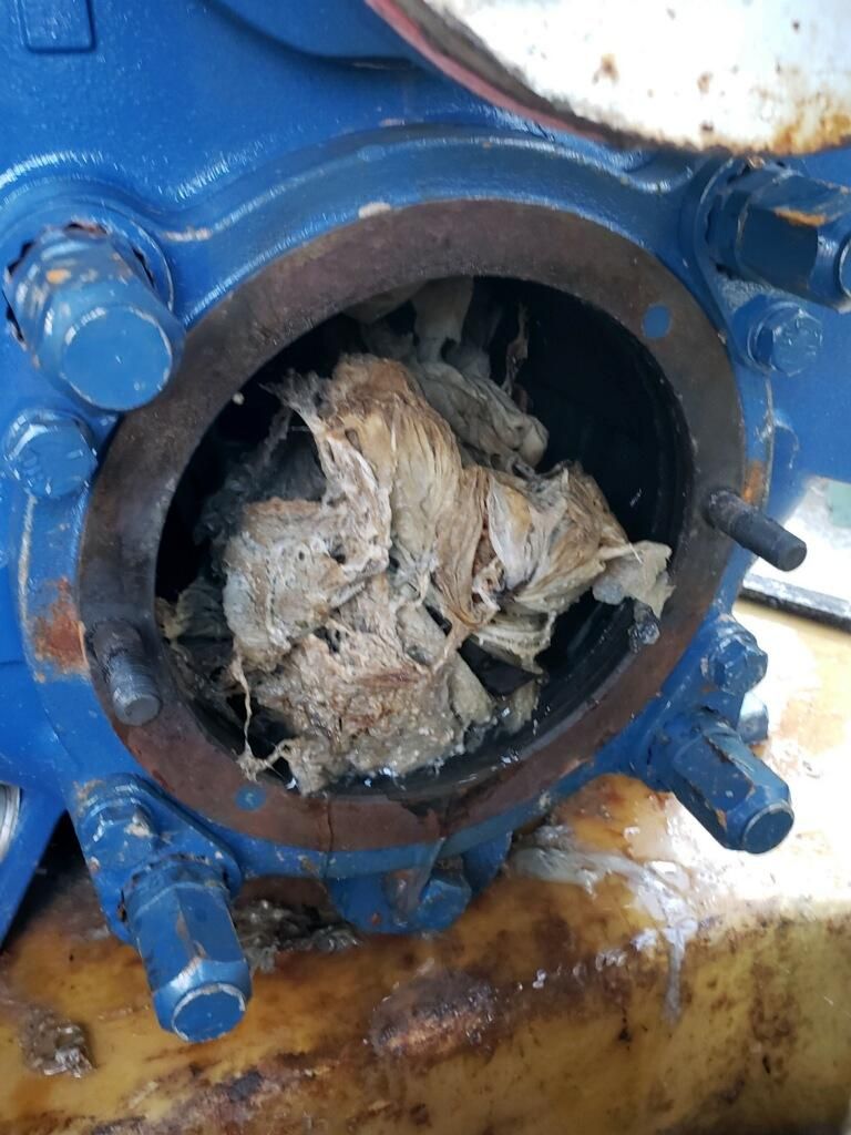Flushable Wipes clogged pump